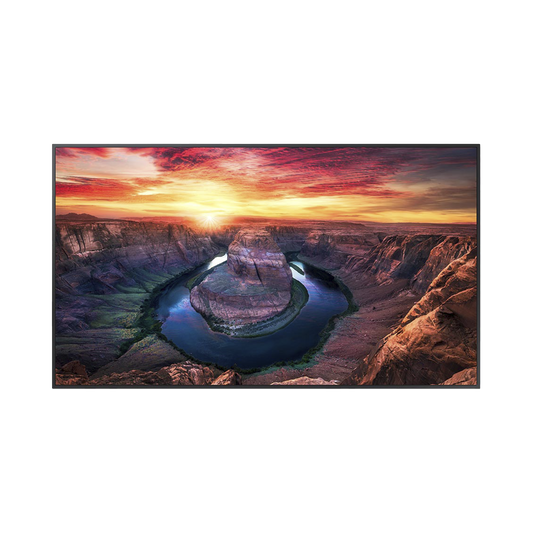 Pantalla Profesional LED de 75", UHD 4K (3840x2160p), Entradas de Video HDMI/DisplayPort, Bocinas Integradas de 10 W. Compatible VESA. Modo de Simulación DICOM